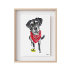 Custom Watercolor Pet Portrait